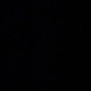 Meet your Posher, Gabbi